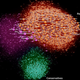 Illustration for article titled How Anti-Vaxxers Manipulate Twitter To Spread Their Dangerous Message